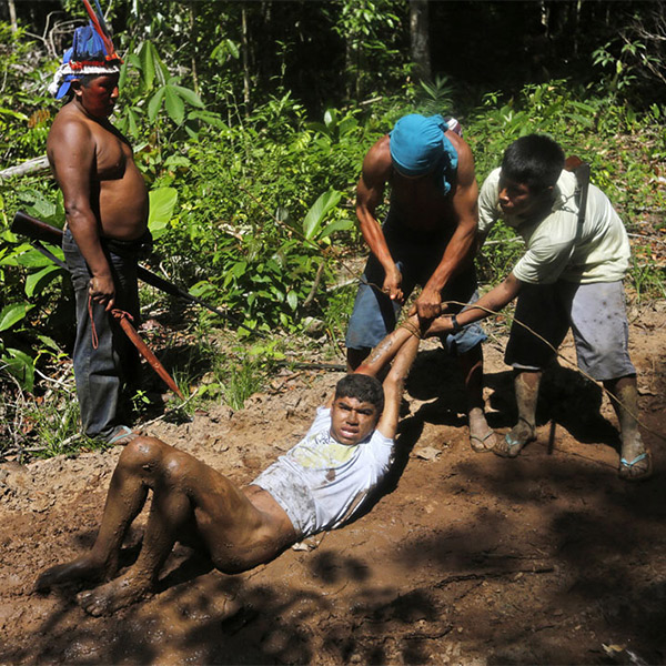 Амазонка,индейцы,браконьерство, Как индейцы Амазонки сражаются за свои деревья