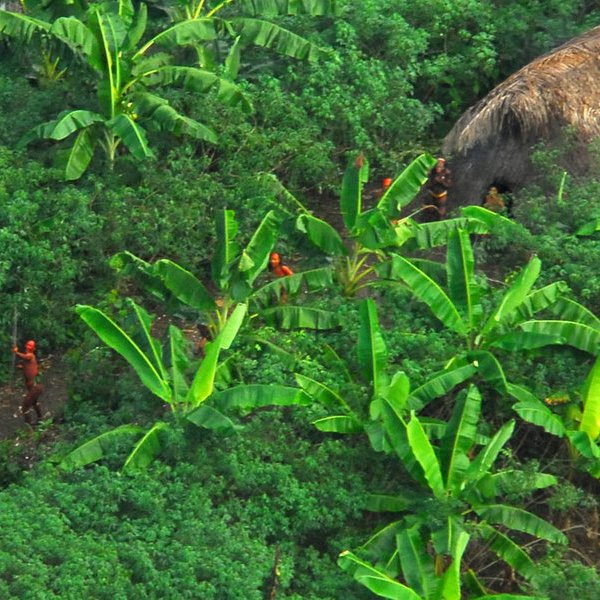История,археология, В джунглях Амазонки обнаружено неизвестное племя